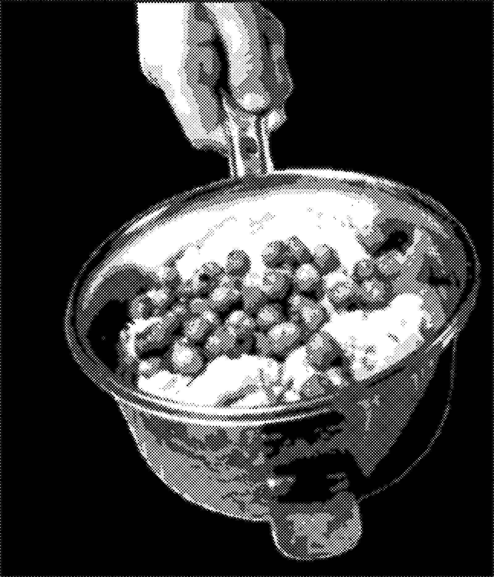 Bloemkoolcurry